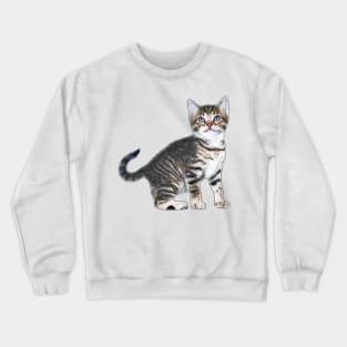 RDJ SPIDERMAN HOMECOMING CAT Crewneck Sweatshirt